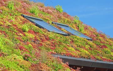 Dean Lane Head living roof systems