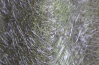 Dean Lane Head fibreglass roof work